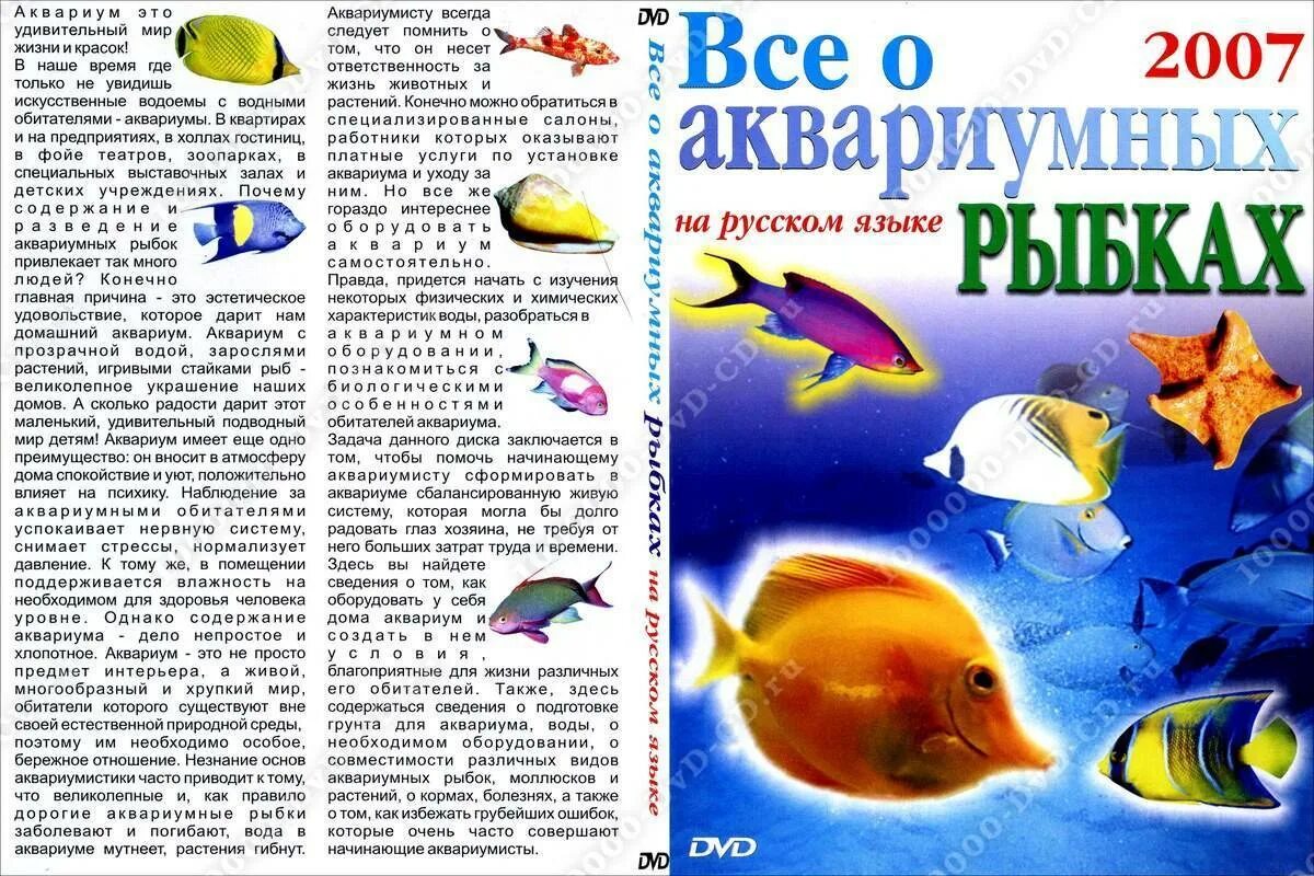 Как ухаживать за рыбами в аквариуме