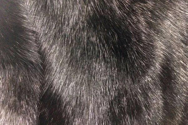 Мех крупного. Кошачья шерсть. Меховая ткань. Мех сурка вблизи. Мех крупного.