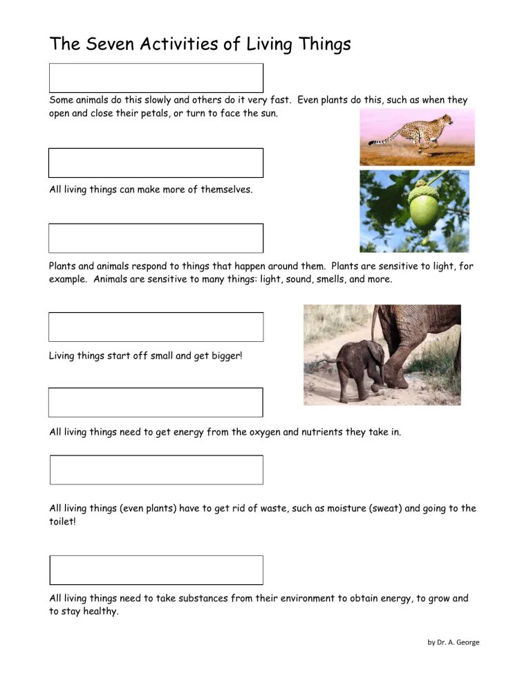 Seven Life processes for Kids. Reproduction ( Science) Worksheets for Grade 3. Living things around us контрольная работа