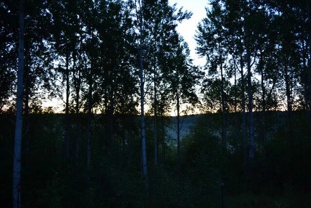 питер в 3 часа ночи. белые ночи в час ночи. белые ночи в 3 часа ночи. белые ночи в санкт-петербурге когда. летом в мурманске белые ночи.