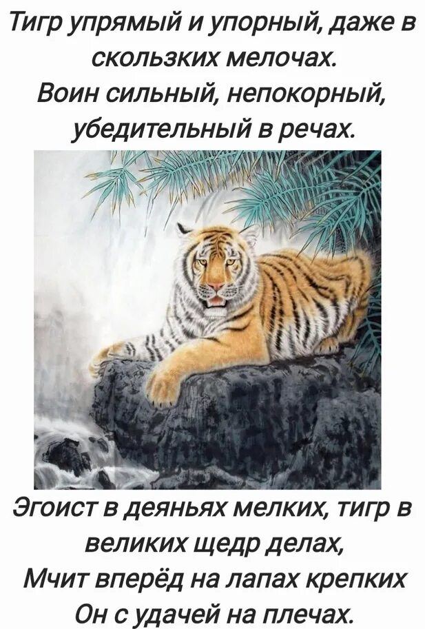 Родился в год тигра. Год тигра характеристика. Люди родившиеся в год тигра. Женщины рожденные в год тигра.