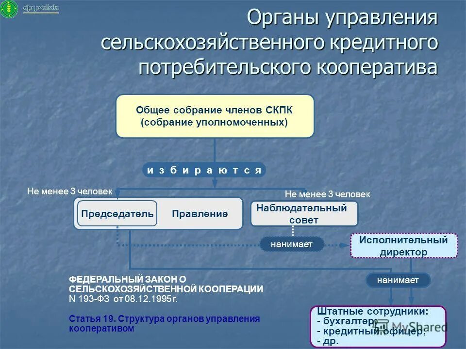 Председатель потребительского кооператива. Органы управления сельскохозяйственным кооперативом. Органы управления потребительского кооператива. Управление кредитным потребительским кооперативом. Органы управления сельским хозяйством