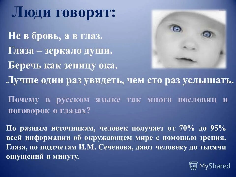 Беречь как зеницу око значение. Высказывания о зрении. Пословицы про глаза и зрение. Афоризмы про зрение. Афоризмы про зрение и глаза.