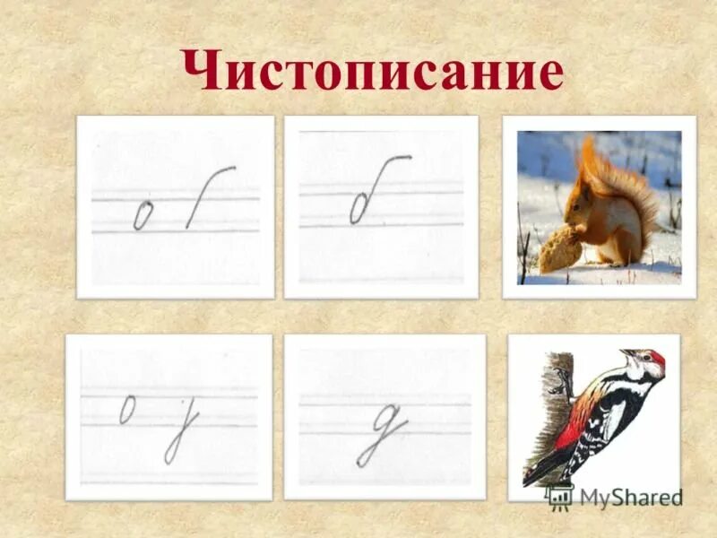 Михалков чистописание текст распечатать полностью. Чистописание. чистописание слайд. чистописание рисунок. чистописание слайд для презентации.