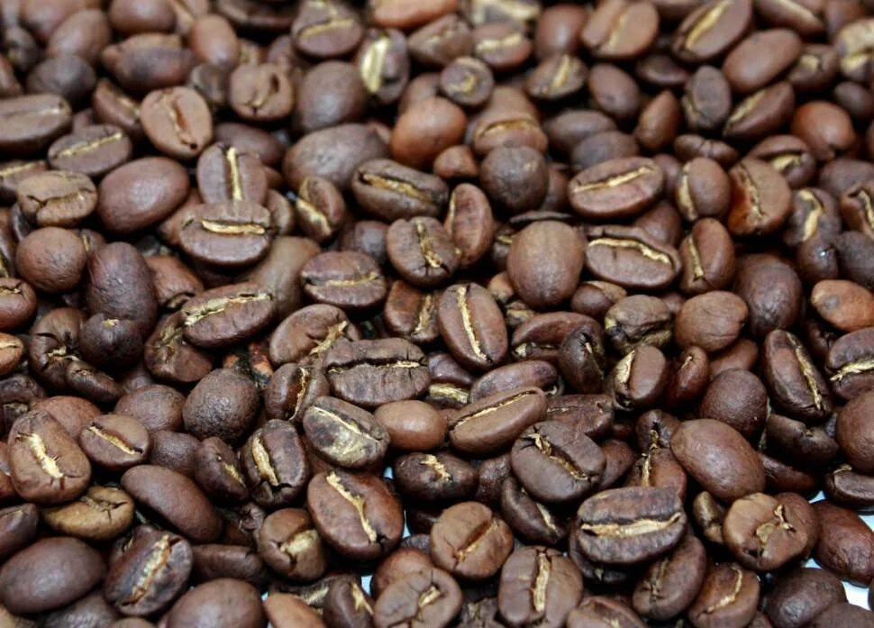 Вкусные сорта кофе. Кофе Арабика Робуста Либерика. Семена кофе Арабика Аравийский. Кофе зерновой Арабика и Робуста. Сорт кофе Робуста.