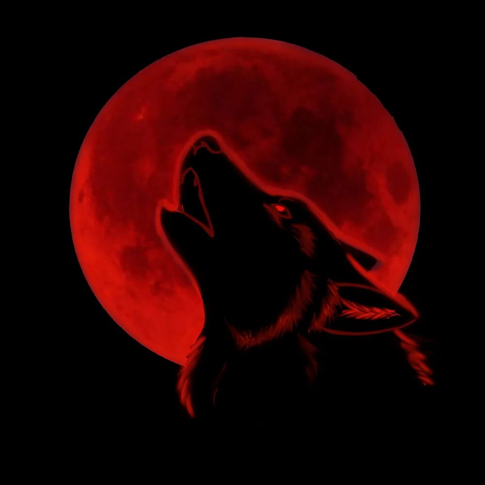 Ред вольф. Кровавая Луна волк. Волк и красная Луна. Красно черный волк. Волк на фоне красной Луны.