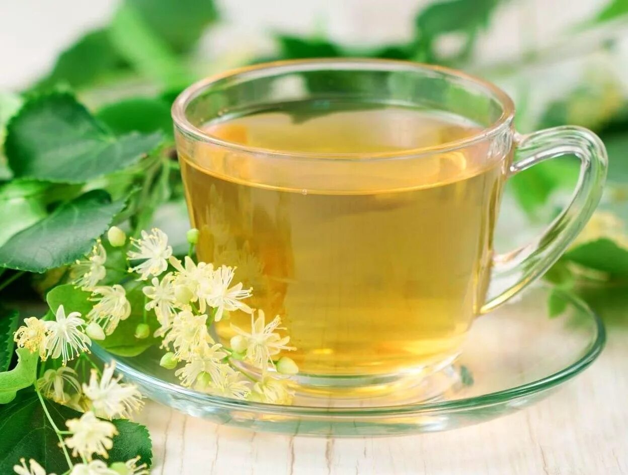 Липа чай. Травяной чай «липа». Чай из липы. Отвары из растений. Как заваривать и пить травы
