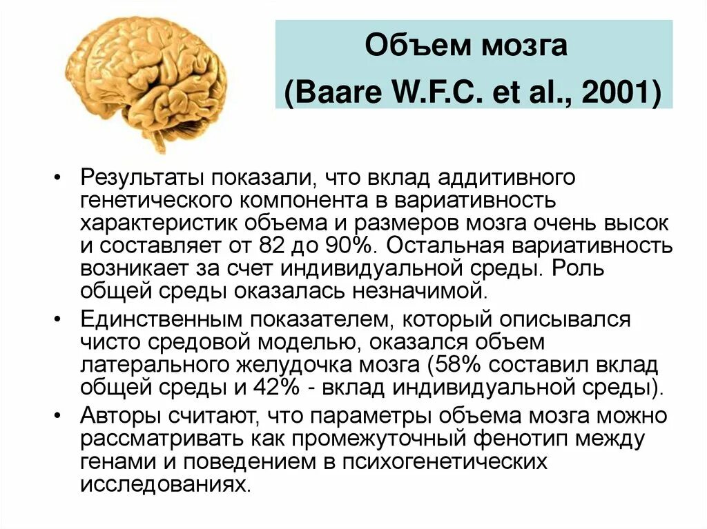 Относительные размеры мозга. Объем мозга. Объем мозга современного человека. Средний объем мозга современного человека. Объем головного мозга человека.