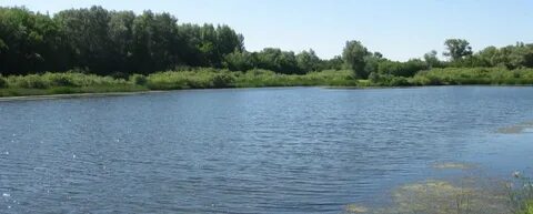 Индекс волгоградская светлоярский