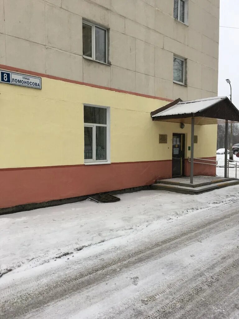 49 сад североморск. отделение дневного пребывания молодых инвалидов. соцзащита североморск сайт. центр для молодых инвалидов мурманск. ломоносова 8 североморск соцзащита.