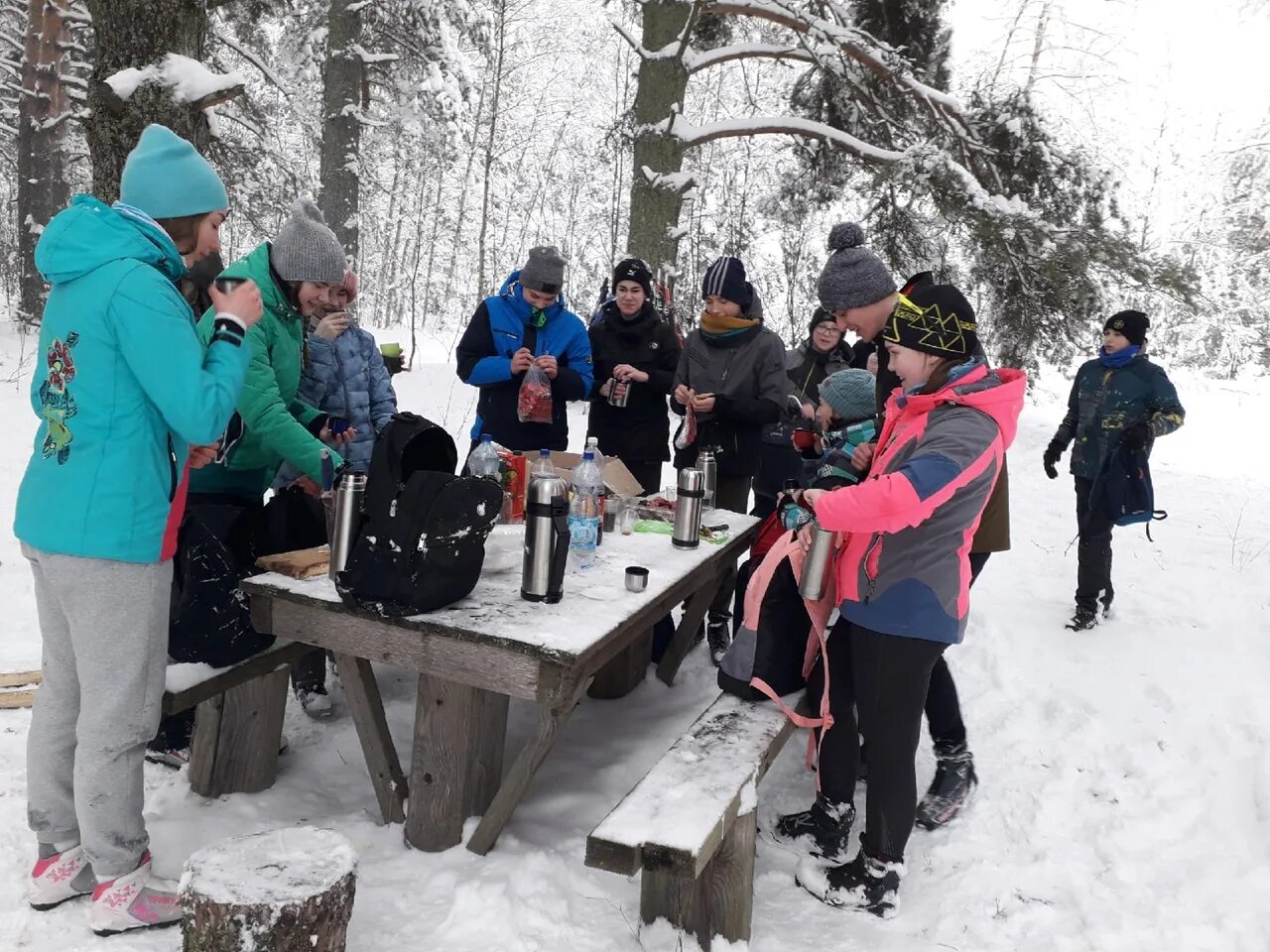 великий сибирский ледяной поход. зимние походы по уралу. александр невский князь ледовое побоище. зимний поход русь. зимний поход русь.