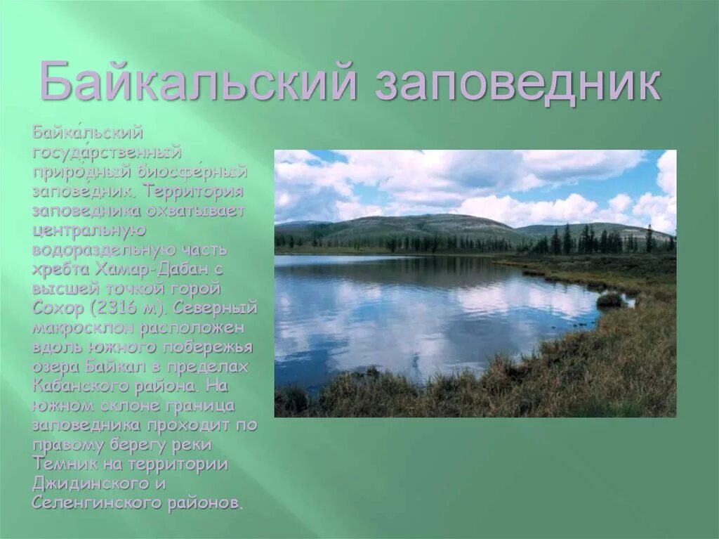 Байкальский заповедник. Доклад о заповеднике. Заповедники России презентация. Байкальский заповедник доклад. Байкальский заповедник информация