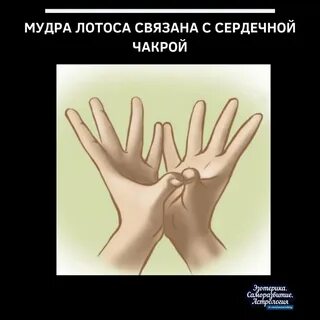 Формы мудрости
