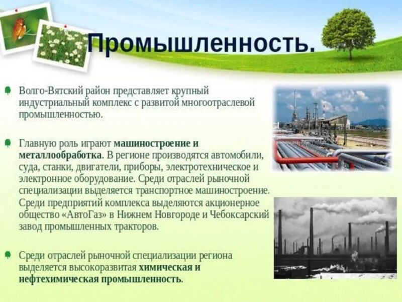 Центры химической промышленности Волго Вятского района. Хозяйство Волго Вятского экономического района таблица. Центры машиностроения Волго Вятского района. Хозяйство Волго Вятского экономического района.