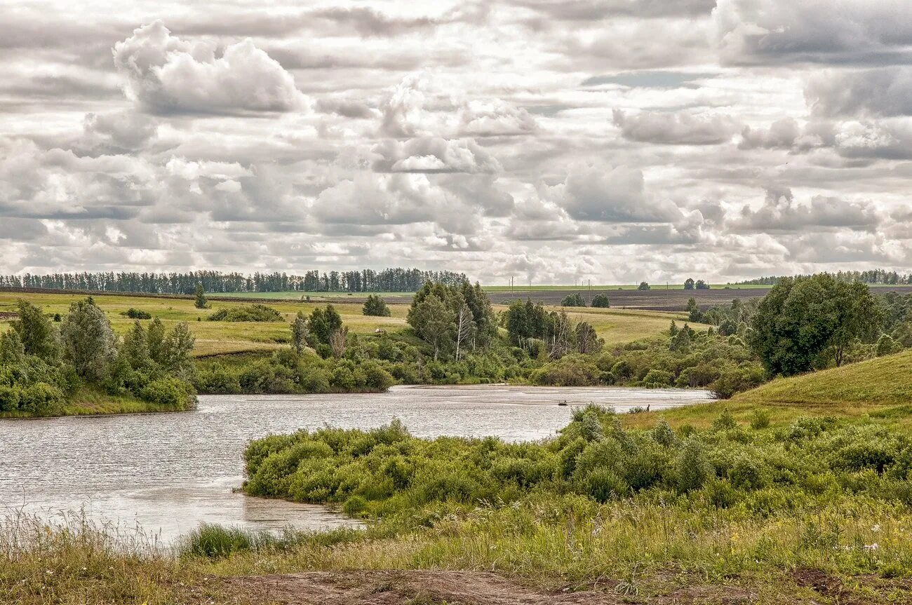 Поволжский фото. Левобережье Поволжья. Реки Поволжского района. Поволжский рельеф. Ландшафт Поволжья.