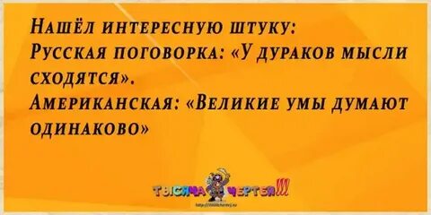 Дурак мысли