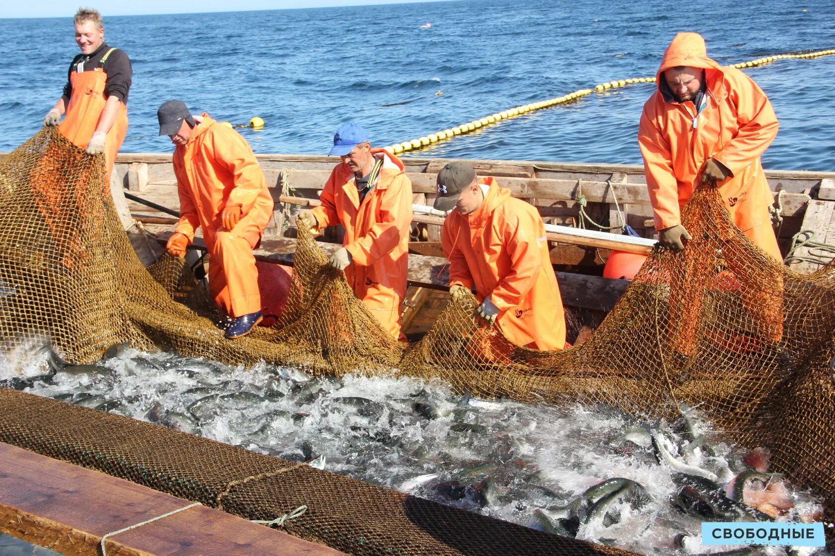 Мюге николай сергеевич. Рыбная промышленность перу. Наука рыболовства. Рыбопромышленный комплекс. Алексей фадеев рыбак с женой.