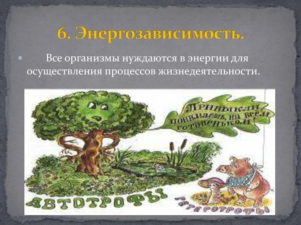 Организмы консументы. Какие живые организмы вы знаете. Живые организмы делятся на царства. Организмы анаэробы. Живые организмы нуждаются.