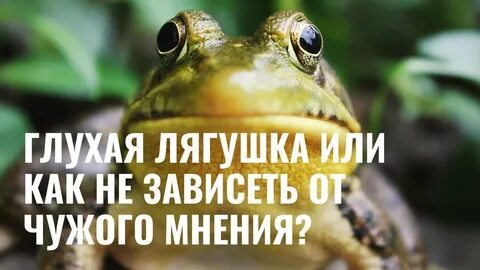 Лягушки глухие