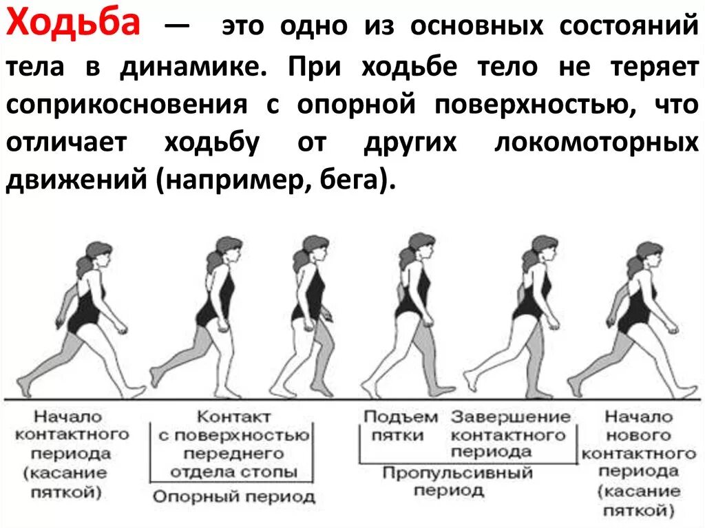 Поступь какая. Биомеханика ходьбы и бега кратко. Виды походок. Ходьба Тип движения. Виды походок человека.