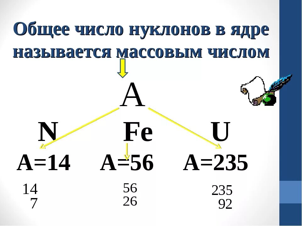 Общее число нуклонов в ядре называется