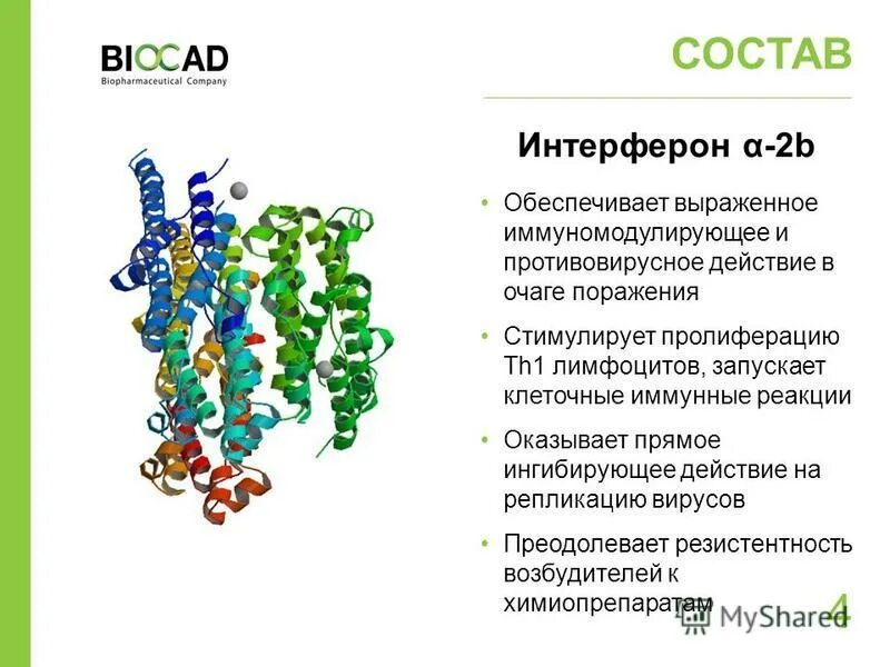 Основной функцией интерферонов является. Интерферон 2а препараты. противовирусные типы интерферонов. механизм противовирусного действия альфа интерферона. интерферон альфа-2b механизм действия.