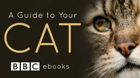 BBC Two - Cat Watch 2014: The New Horizon Experiment - A Guide to Your Cat inter