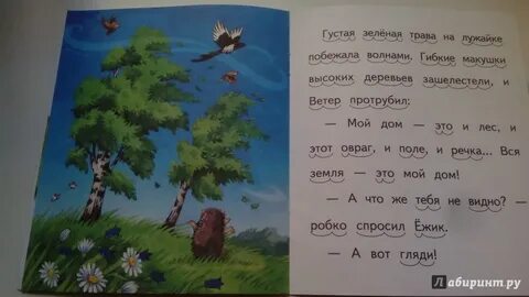 Где живет ветров
