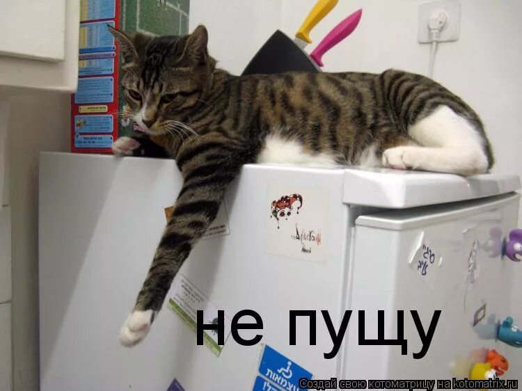 Опути непутю в отпуск. Пятница отпустите домой. Леонардо ди каприо мем. Почему опоздал на работу. Отпустите пораньше с работы.