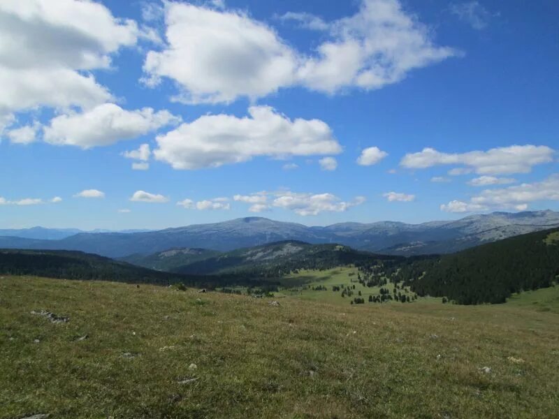 Малый бащелак алтайского края. Чарышский район бащелак. Малый бащелак чарышский. Малый бащелак алтайского края. Малый бащелак алтайского края.