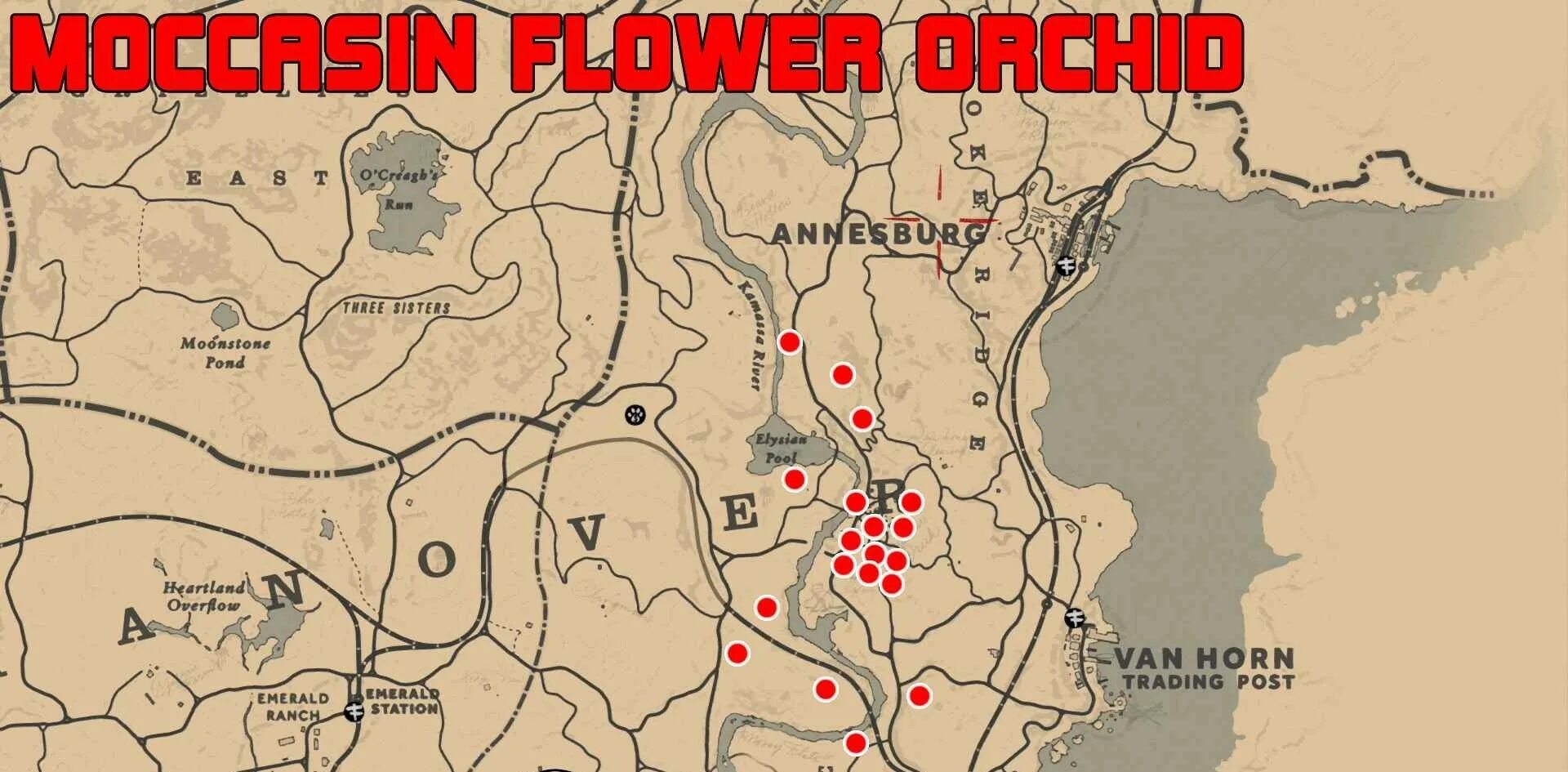 Rdr freetp. Red dead redemption 2 карта орхидей. red dead redemption 2 вся карта. red dead redemption 2 экзотика. орхидея желтый башмачок rdr 2.