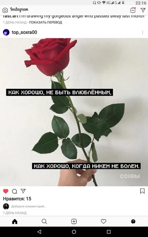 Цветы от любимого цитаты. Афоризмы про розы. высказывания о розах. красивые высказывания о розах. красивые цитаты про розы.