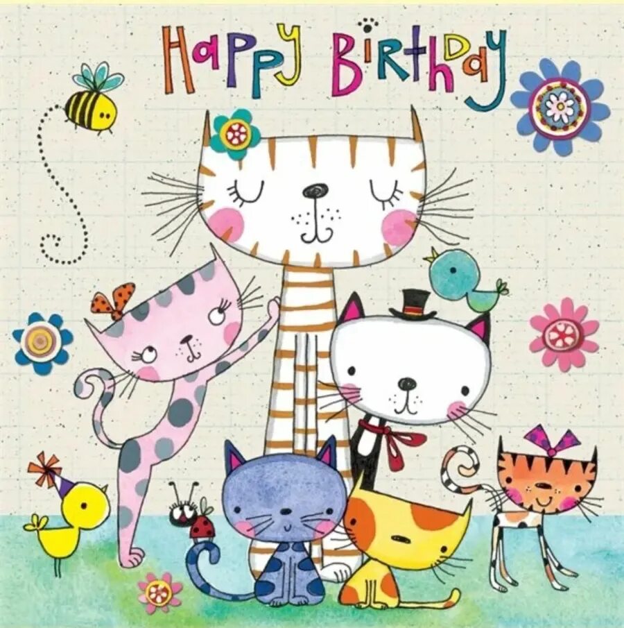 Прикольные открытки с днем рождения с котами. Кот поздравляет с др. Кот дарит подарок. Поздравление с днем рождения коты. Смешные открытки с днем рождения.