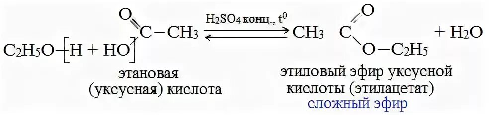 Метанол h2so4 конц. Как из этанола получить этиловый эфир уксусной кислоты. Реакция этерификации одноатомных спиртов. Этиловый эфир уксусной кислоты реакция.