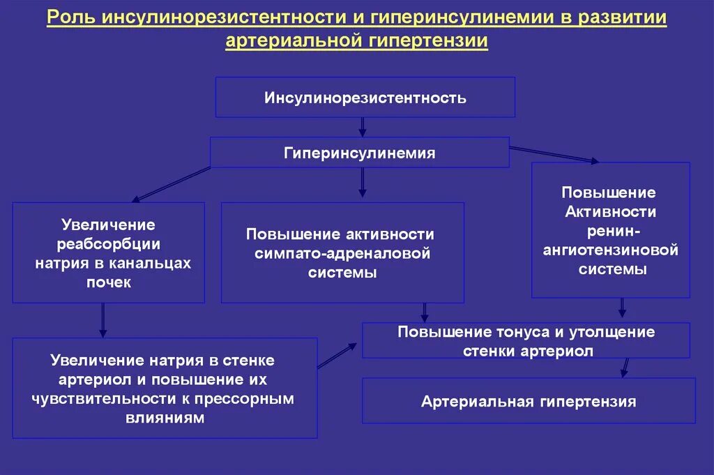 Развитие гипертензии. Гиперинсулинемия. механизм развития гиперинсулинемии. гиперинсулинемия и инсулинорезистентность. взаимосвязи гиперинсулинемии и артериальной гипертензии.