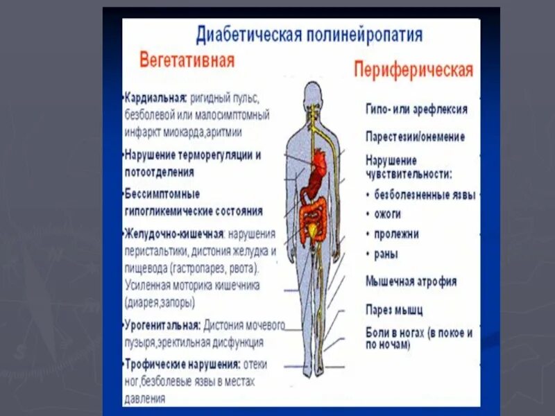 Полинейропатия верхних и нижних лечение. Диабетическая полинейропатия нижних конечностей упражнения. Симптомы диабетической полинейропатии. Вегетативная диабетическая полинейропатия. Диабетическая полинейропатия, алкогольная полинейропатия..