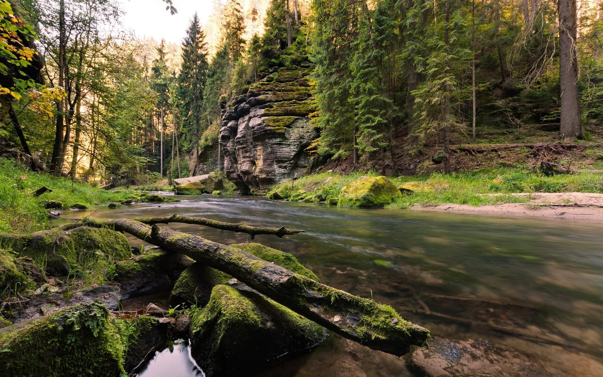 Красивый лес с рекой. Река Каймарка. Лесная река. Лесная рука. Природа лес река.