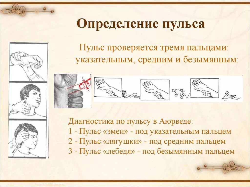 Определение пульса цель. Определение пульса. памятка определение пульса. методика определения пульса. измерение пульса определение.