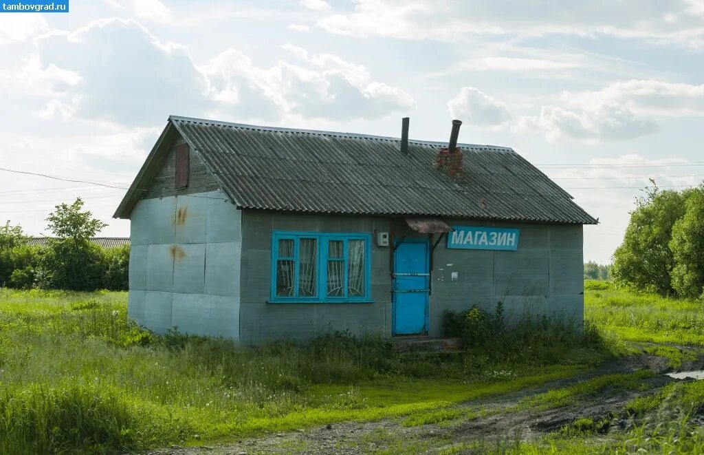 Тамбовская область деревня Черемушки. Деревня Черемушка Тамбовской области. Черемушки Тамбовская область Первомайский район. Посёлок Первомайский Тамбовской области. Район черемушка