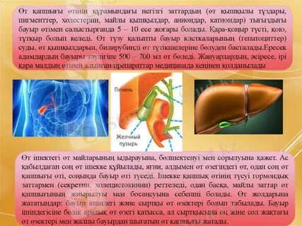 Порно Лсконы жақсы көреді