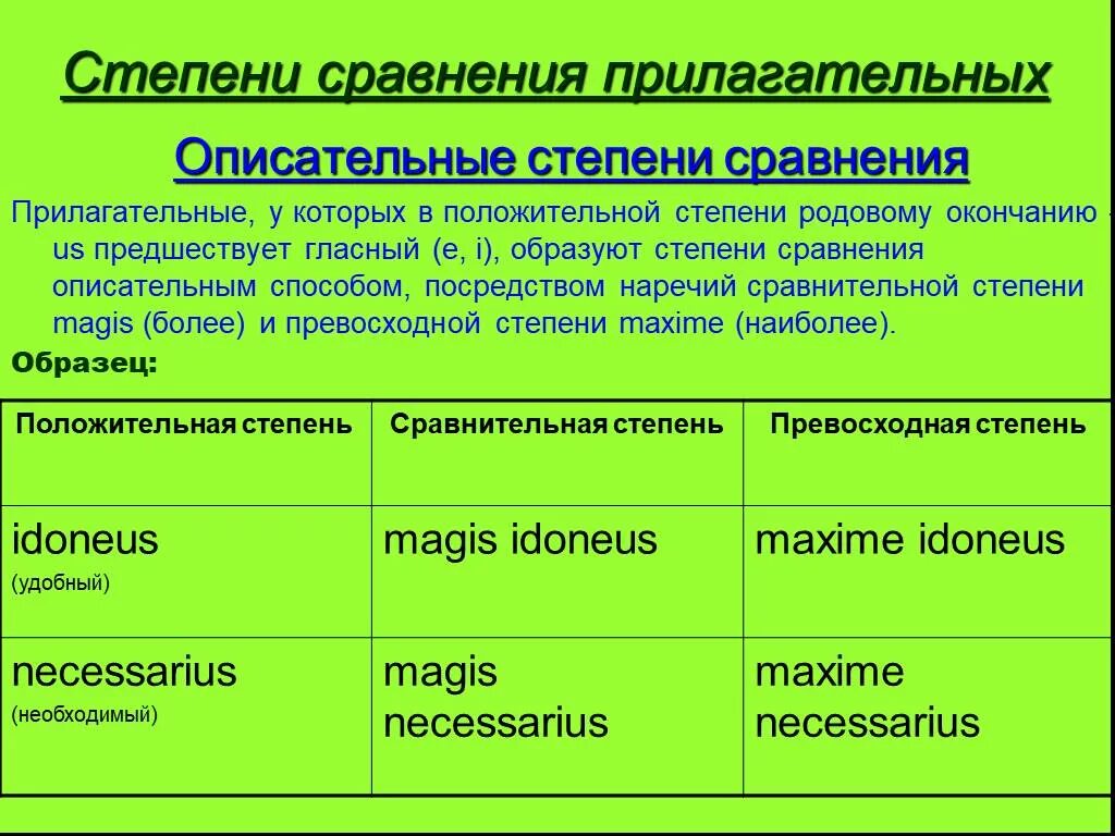 Положительная степень сравнения прилагательных латынь. Склонение прилагательных сравнительной степени латынь. Прилагательные в сравнительной степени латинский. Прилагательные сравнительной степени латынь.