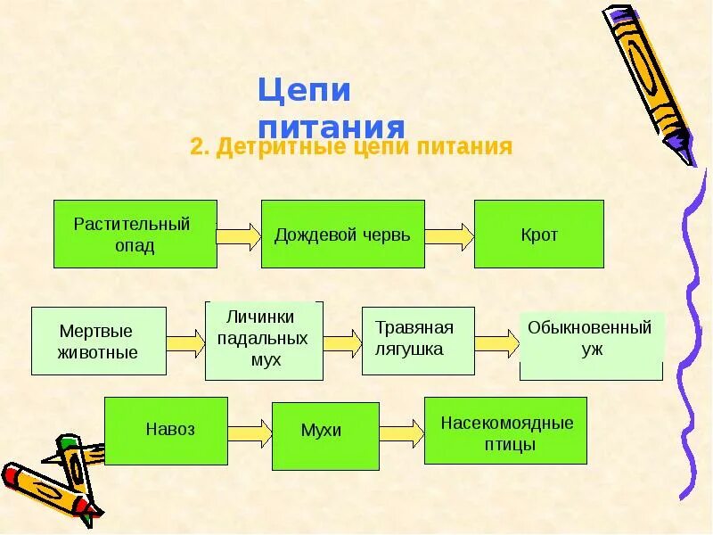 Схемы изображающие цепи питания. Биология 5 пищевые цепочки.. 2 типа цепей питания. биология схемы пищевых цепей. искусственная цепь питания.