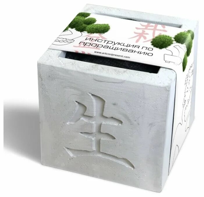 набор для выращивания вырасти бонсай дома. вырасти бонсай набор. бонсай подарочный набор. брендированные наборы для выращивания. набор для выращивания вырасти бонсай дома.