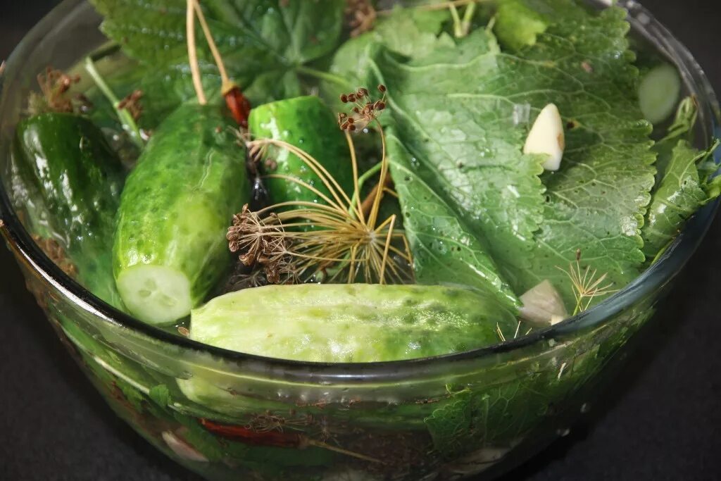 быстрые малосольные огурцы. малосольные огурчики быстрого приготовления. огурцы малосольные милен. монастырская кухня малосольные огурцы. малосольные огурцы холодным способом.