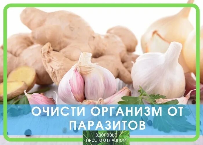 Очистки организма от паразитов. Очистить организм от паразитов. Чистить организм от паразитов книга. Медведев очищение организма от паразитов.