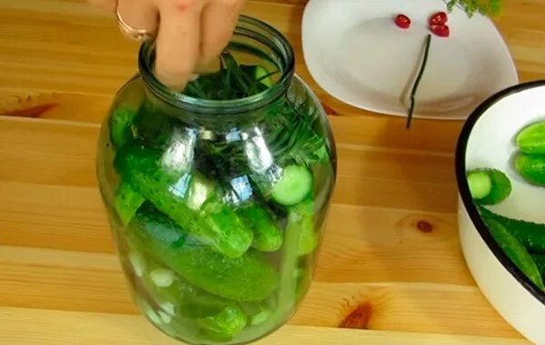 Банки с огурцами под капроновой крышкой. Огурцы в холодном рассоле под капроновой крышкой. Квашеные огурцы в банках. Банка с капроновой крышкой. Огурцы в банках.