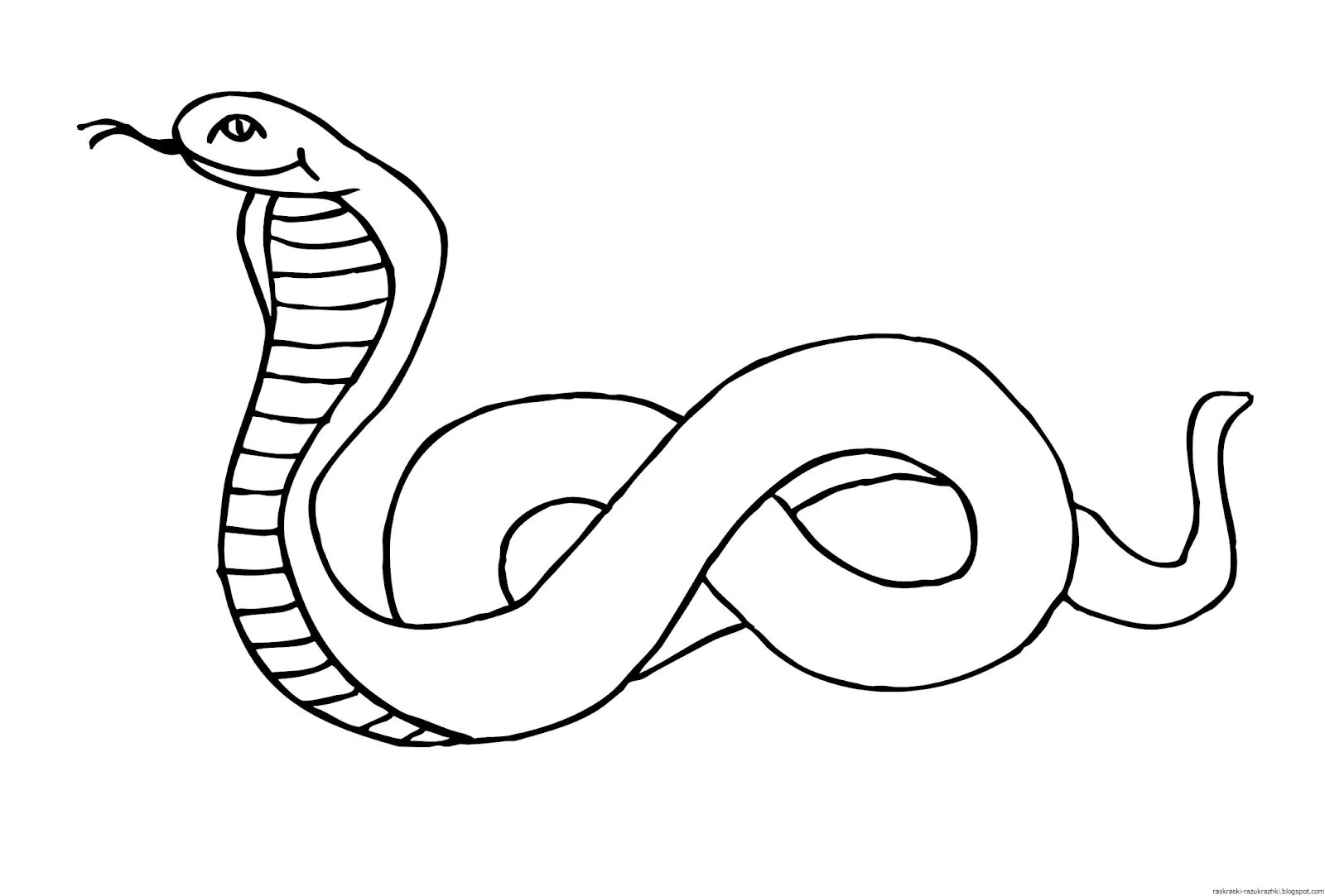 Раскраски змей распечатать. Змея раскраска. Змея раскраска для детей. Раскраска змеи для детей. Картинка змеи раскраска.