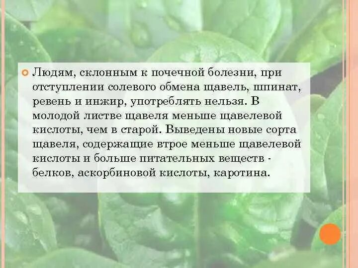 Женский орган в виде щавеля. Щавелевая кислота в организме. Щавелевая кислота в щавеле. Щавелевая кислота в организме человека. Болезни щавеля.