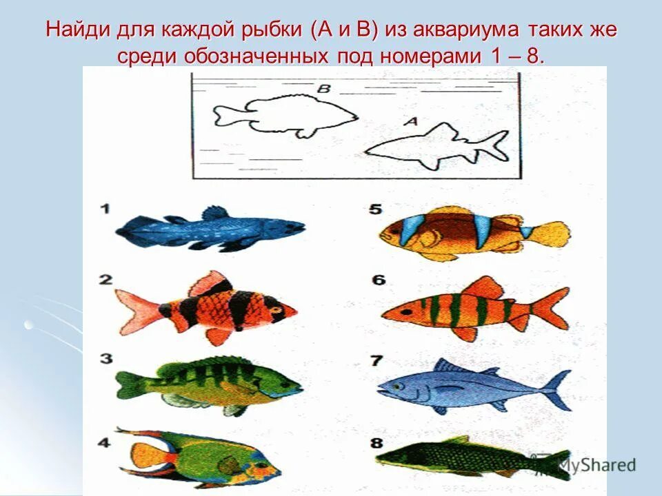 Среди обозначенных. Среди обозначенных