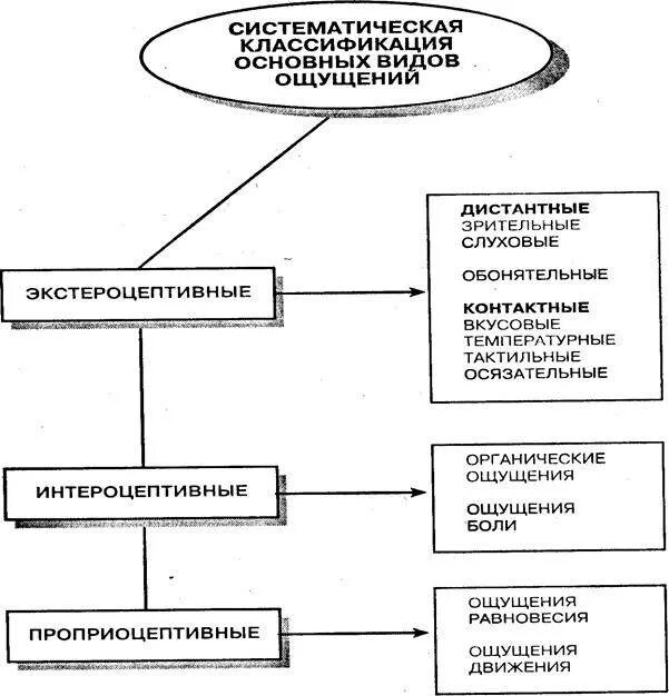 2 виды ощущений. Классификация ощущений в психологии. классификация ощущений в психологии таблица. схема классификация ощущений в психологии. классификация видов ощущений в психологии.